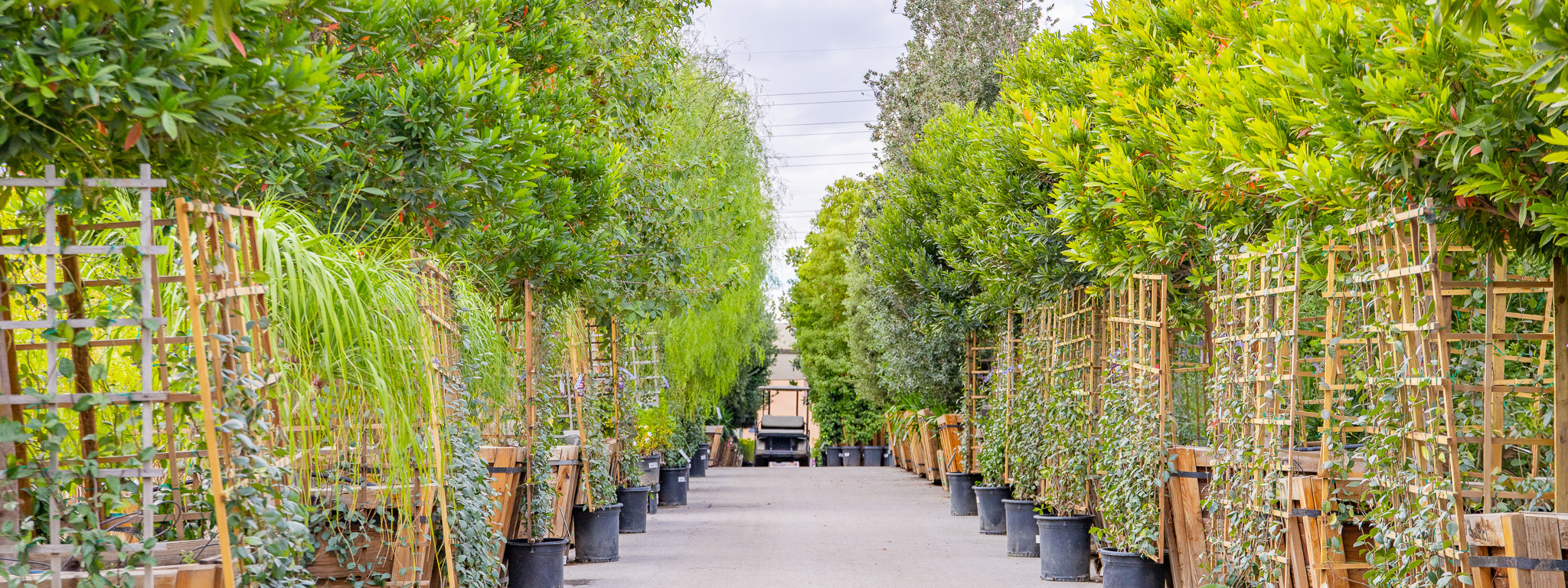 TOP 10 BEST Nurseries \u0026 Gardening in Naples, FL - Updated 2026 - Yelp, image size:2048x768